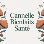 Bienfait de la cannelle bâtons et poudre illustration santé